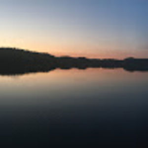 Meet your Posher, Collin